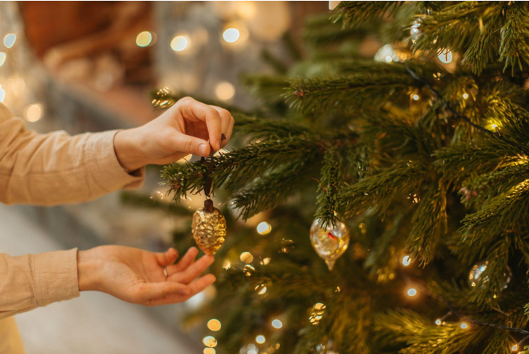 Find Serenity in Reading with a View while Celebrating Christmas: Artificial Trees on Clearance