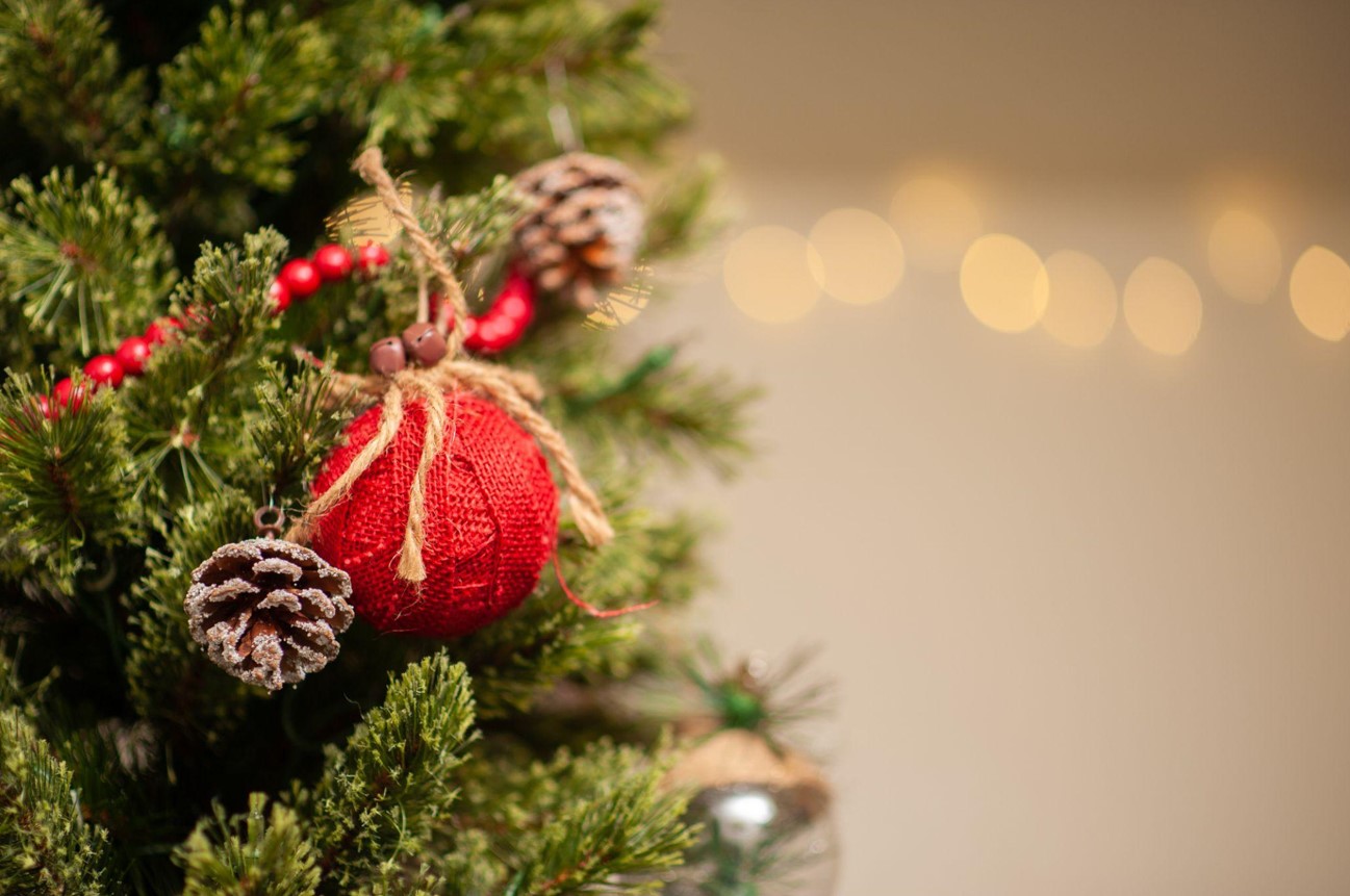 Find the Perfect Christmas Tree on Sale